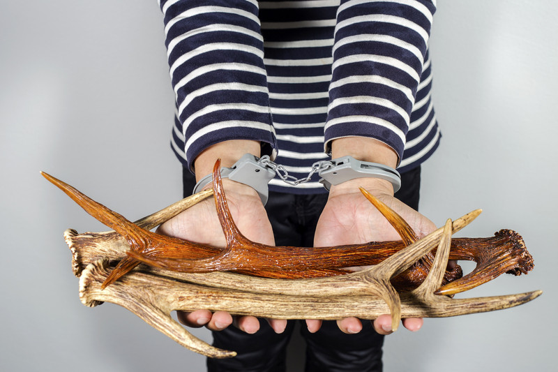 waste disposal Waste